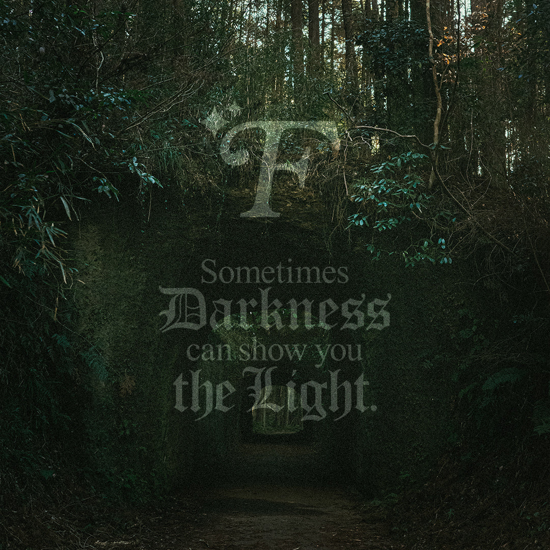 THE LIGHT