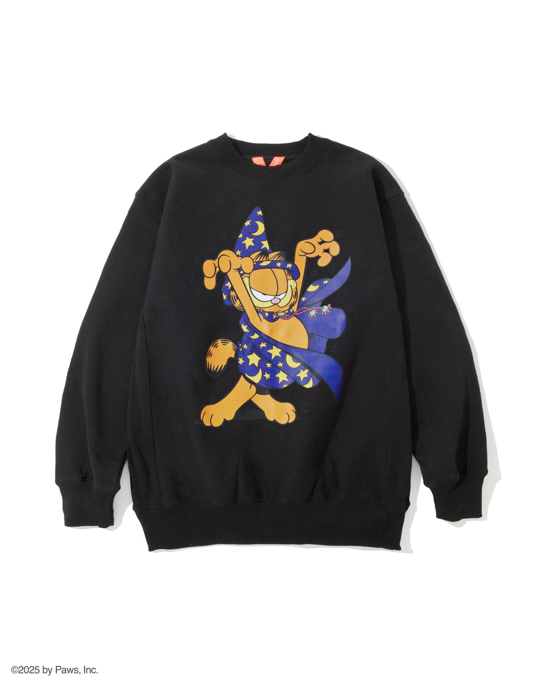 GARFIELD x FLATLUX - Wizard Crewneck