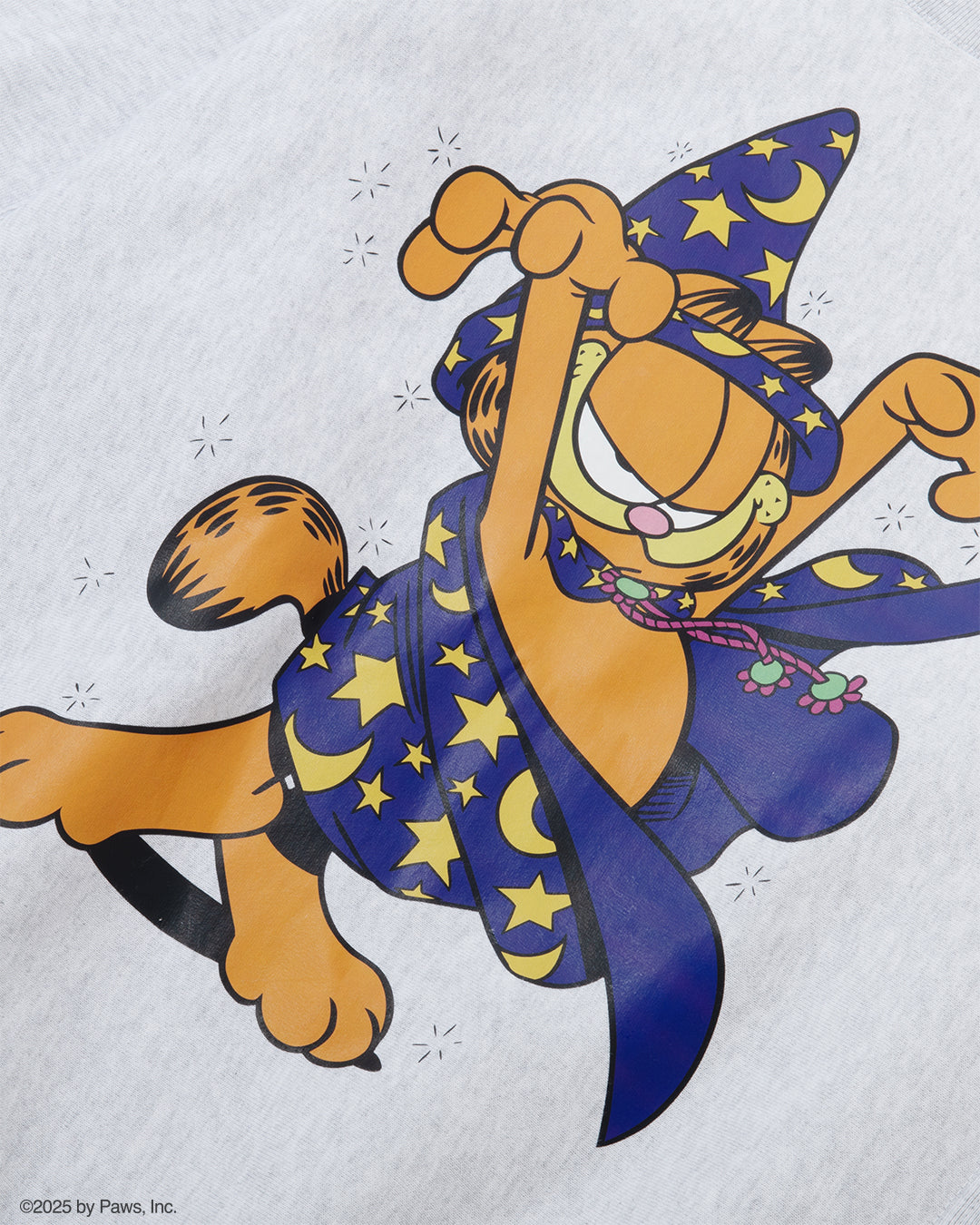GARFIELD x FLATLUX - Wizard Crewneck