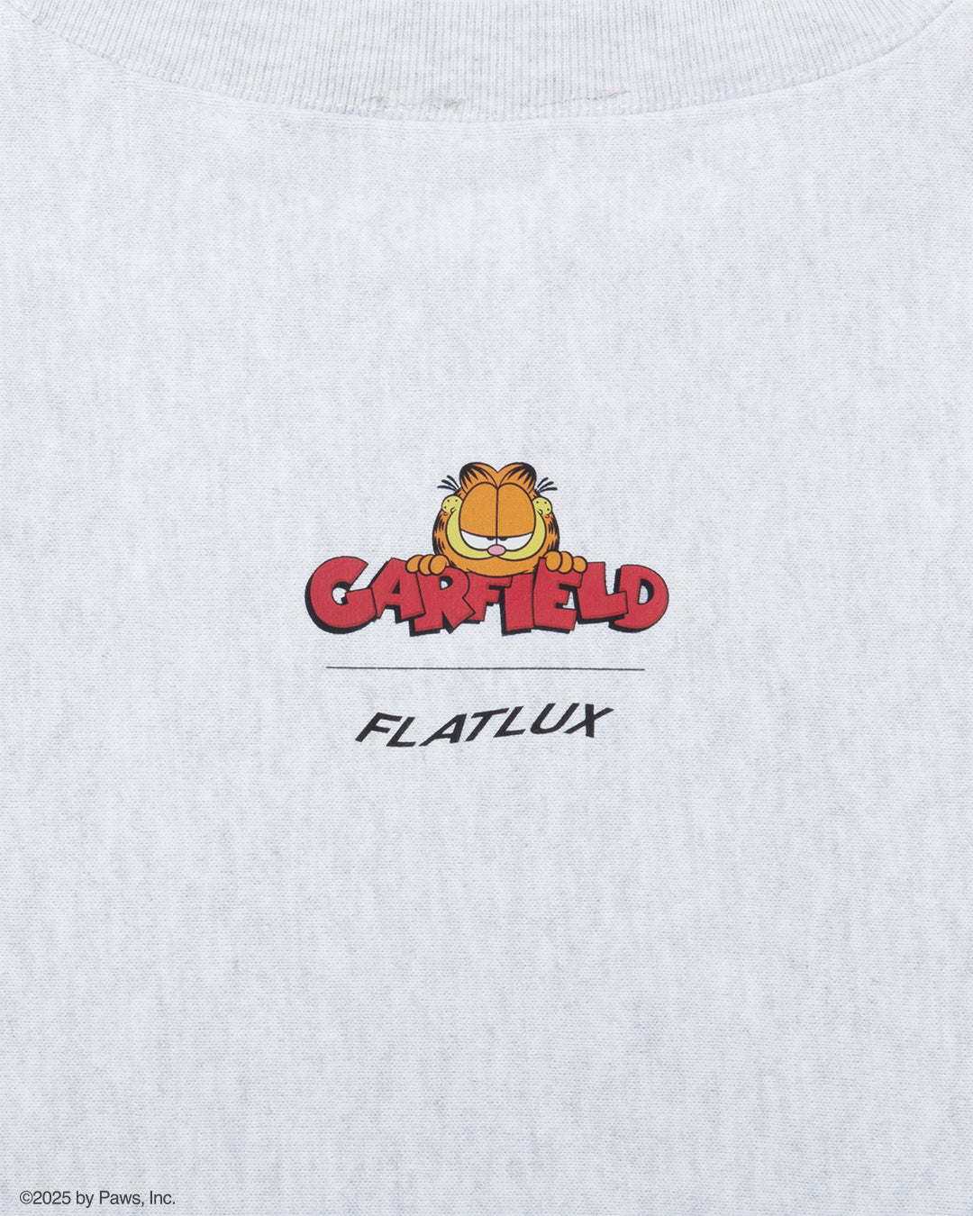 GARFIELD x FLATLUX - Wizard Crewneck